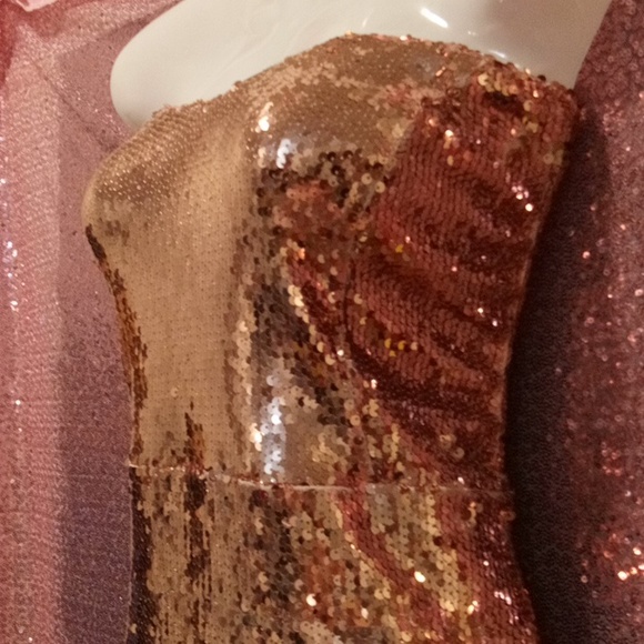 NWOT💕Forever 21 *SZ 1X  Bronze Sequined Dress! Nude Spandex Attached Under Slip - Picture 7 of 9